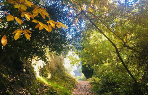 Apartamento El Refugio de Mecina - Foto 34