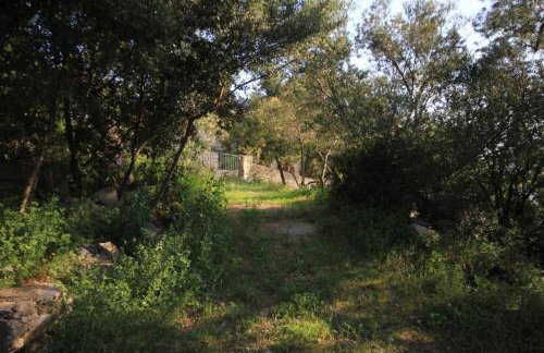 Apartments by the sea Rogac, Solta - 8688 - Photo 11