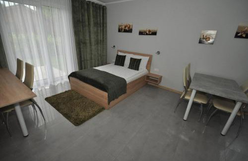 APARTAMENTY POD ŻAGLAMI MIELENKO - Foto 11