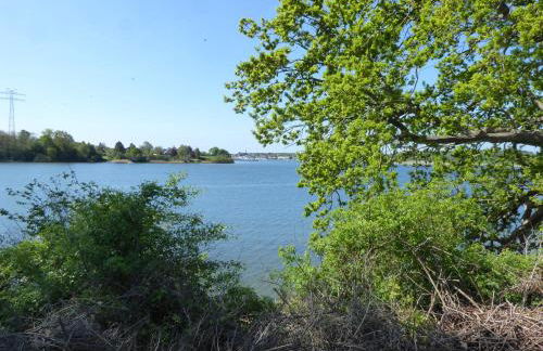 Erholung auf dem Land zwischen Ostsee und Schlei - Foto 38