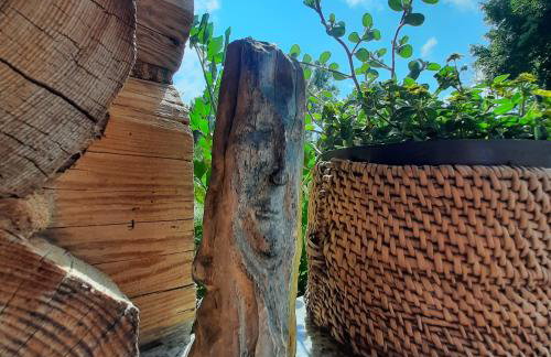 Miodowa Chata Pokoje Gościnne - Foto 30