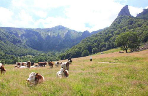 Maison de Varennes - Foto 15
