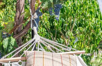 Green Yard Family Holiday Home Sidari Corfu - Foto 28