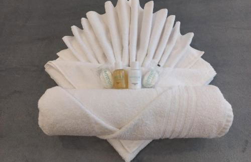 Blume Garden 205 Apto Lindo e Confortável - Foto 19