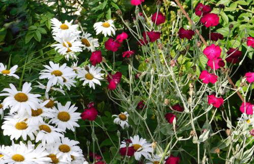 Ferienhof - Rauhenberg - Foto 18