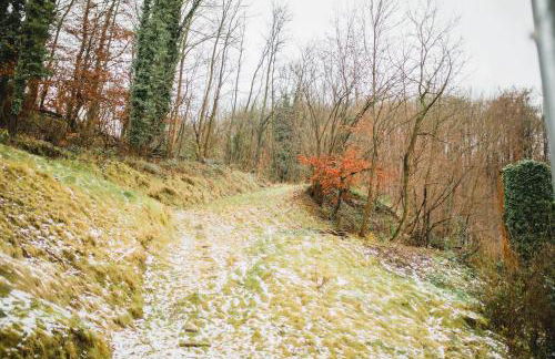 HUGOS Design Apartment am Waldrand - ruhig & modern - Foto 41