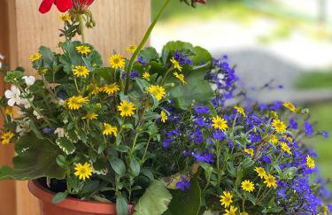 Domek Na Młace - Foto 18