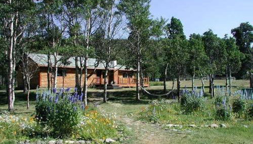 Group Vacation Rental for Family and Corporate Getaways near Glacier National Park, Montana - Foto 5