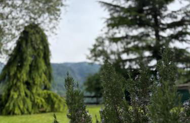 Apartment Fiemme Valley - Foto 45