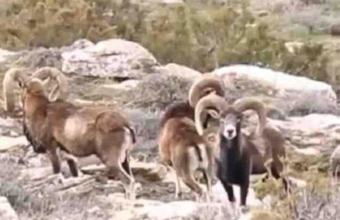 Mare e Montagna - Foto 22