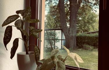 Ferienwohnung am Anger - Foto 11