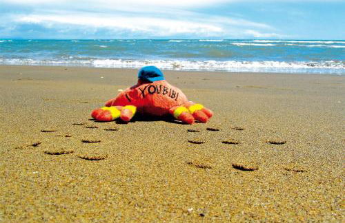 Residenza Turistica Alberghiera Blue Marine - Foto 41