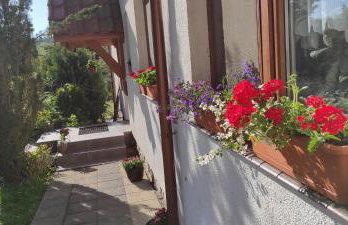 Gajówka Świt - Foto 5