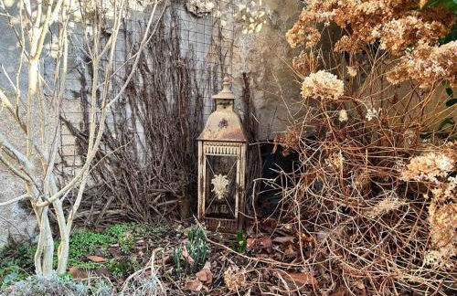 Infrarotsauna & Platz für Familien - Maisonette Fritz in Großschönau - Foto 31