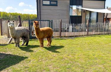 Tiny House Alpakablick - inklusive Alpaka Meet & Greet an bestimmten Terminen - Foto 2