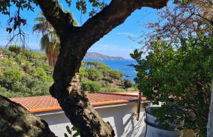 Casa Country - Foto 9