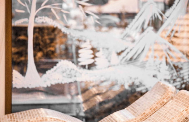 Vila Borova Wellness & Spa Resort - Foto 25