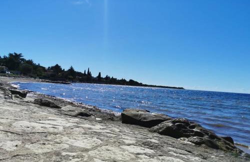 App Palčić K - Photo 16