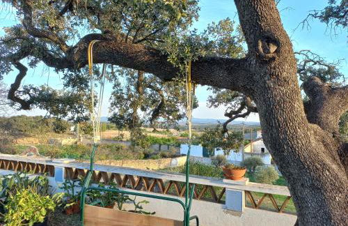 Aproveite o sabor do Alentejo - Foto 36