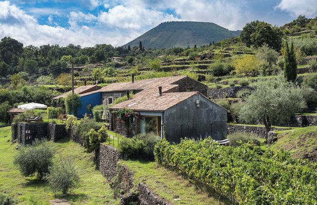 Monaci delle Terre Nere - Foto 46