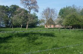 Le Manège - Foto 37