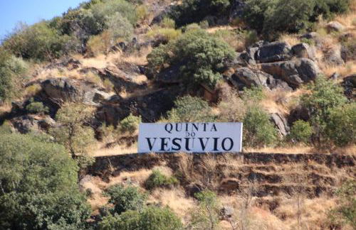 Douro Yacht Charter & Bungalows - Foto 42