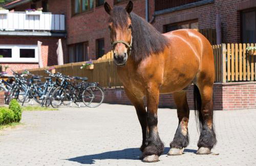 Ferienhof Heins - Foto 35