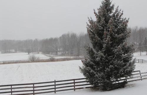 Romantic Cottage and Suite Close to Ski Trails - Foto 25