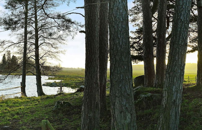 4 Person Holiday Home in Hova-by Traum - Foto 24