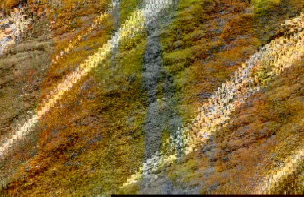 Nice Apartment in Daun-waldkonigen - Photo 19