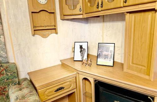 Holenderek Agro-Stajnia - Foto 6