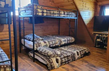 The Grizzly Den Cabin Warrens WI - Foto 9