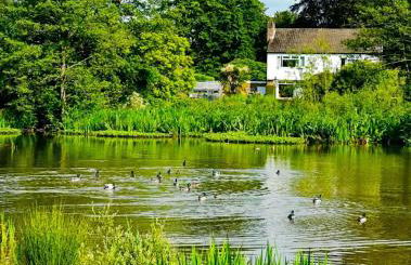 GerrardsCross - Stay4 - Parking - PetsOK - Wembley - Photo 34