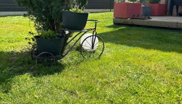 Mssila villa - Foto 3