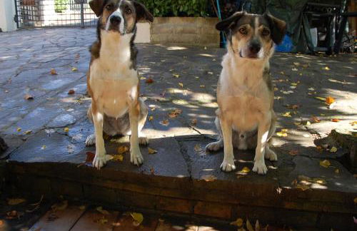 Toscana da Sogno a Villa Allegria - Foto 45