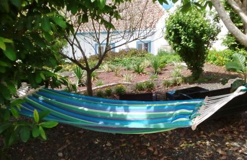 Casa da Maria - Photo 29