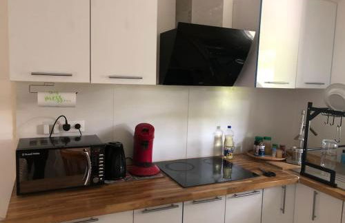 Logement entier entrée autonome ch,sdd,cs privatives - Foto 16