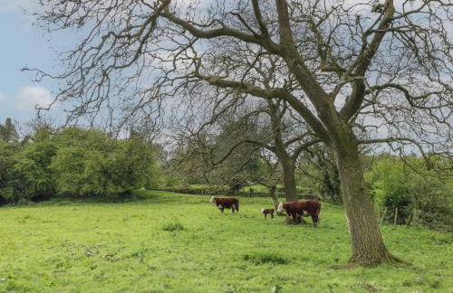 Rowan Cottage - Fold Yards - Foto 31