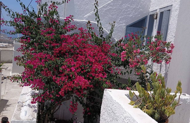 Charming 1705 Castle House in Pirgos Kallistis, Greece - Photo 33