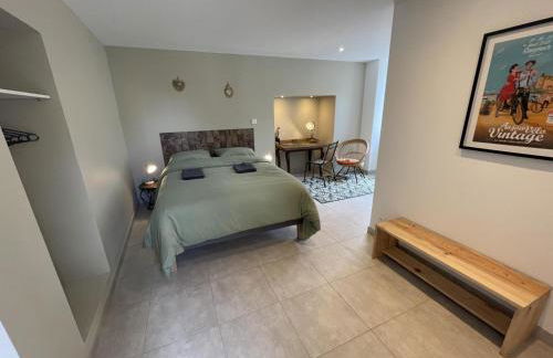 Gîte de Charme à Avoine avec Spa Privé et Jardin - FR-1-381-621 - Foto 15