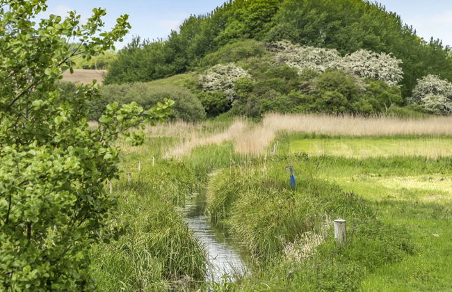 3 bedroom House in Broager with terrace and sauna - Photo 10