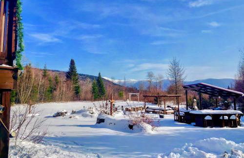 1800ML - As Seen on TV 1 mile from skiing great views hot tub fire pit beach Pool gym passes - Foto 46