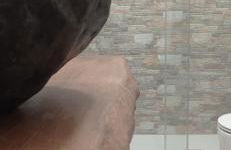 Lu Biulè di Pau - Foto 16