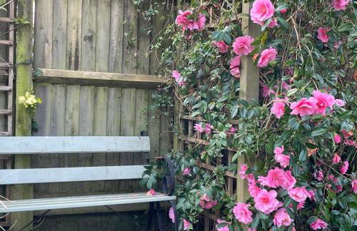 Chiddy Nook Cottage - Photo 27