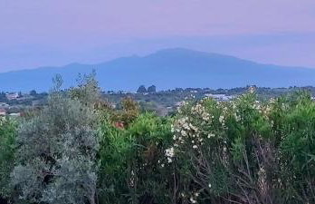 Villa AVRA - Photo 42