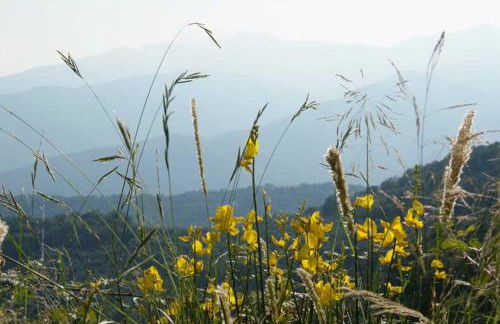 Ferienhaus in Vasia Imperia für bis zu 4 Personen - Foto 62