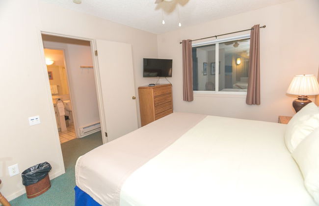 The Grey Gull - Foto 71