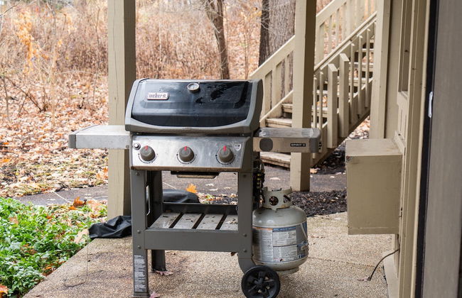 The Lakepod at Abbey Springs 2 BDR 5 Min to Lake - Foto 34