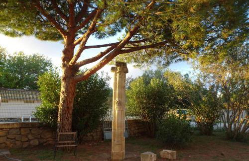 Domaine du Petit Tournebelle - Foto 4