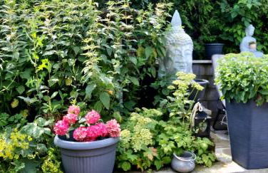 Haus Harzer Bergblick all inklusiv Sauna Whirlpool - Foto 45